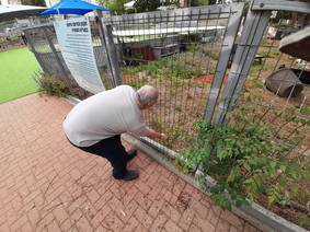 Meir trying to caress a cat.