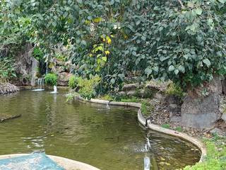A cat drinking at the water.